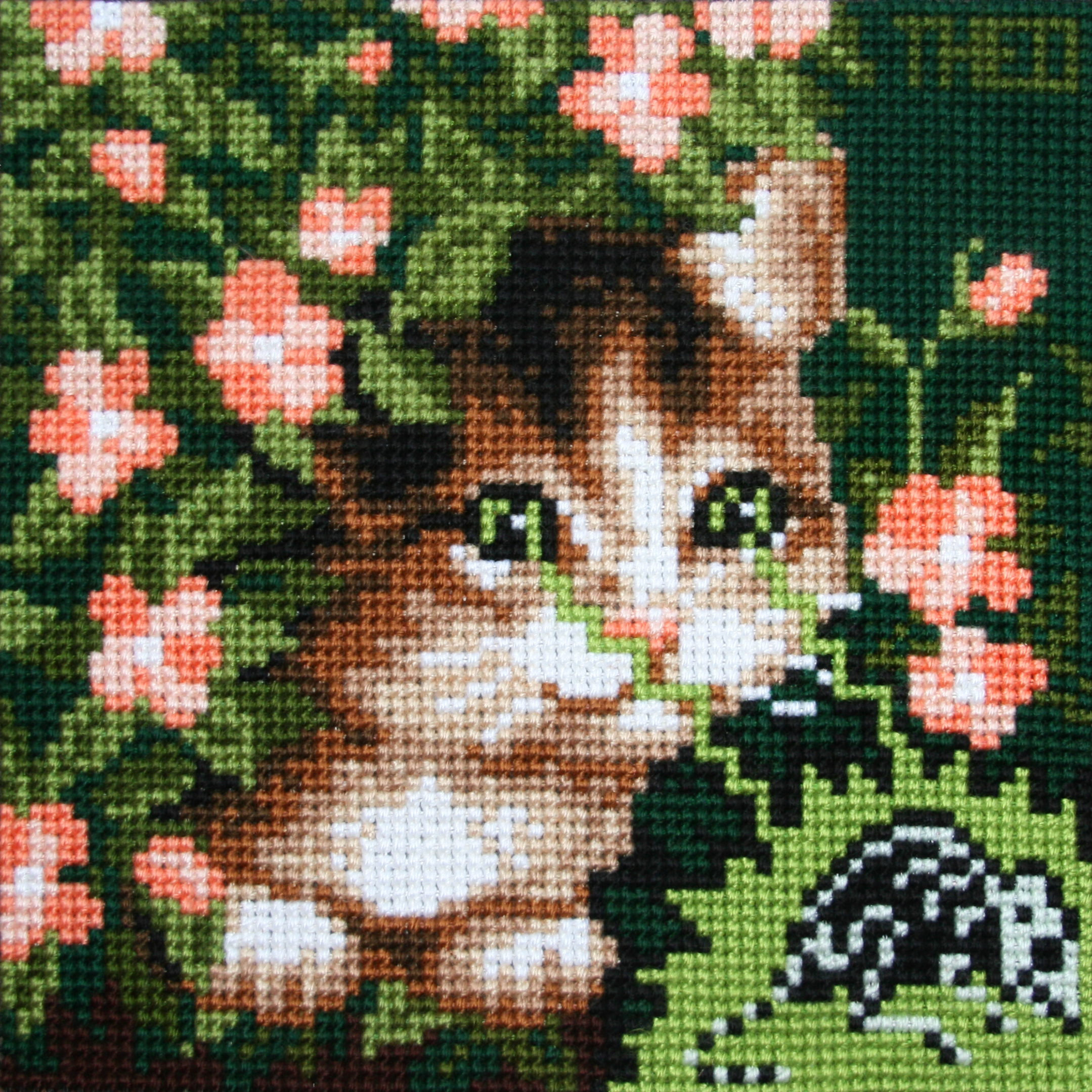 ‘BAD KITTY’ collection.